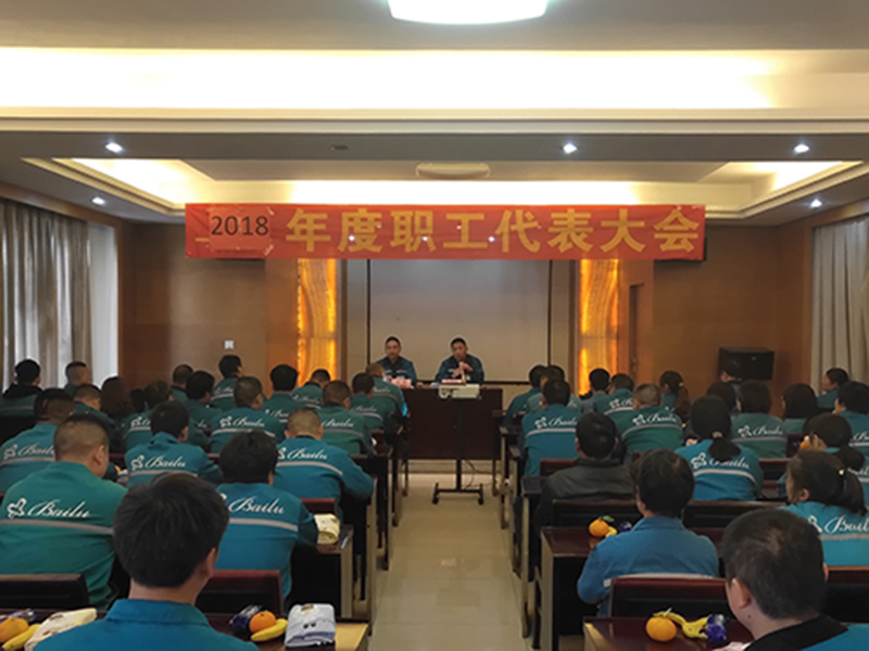 2018佰陆集团年度职工代表大会